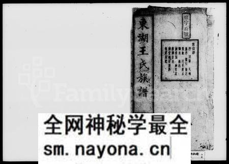 湖南王氏族谱-楚南沩宁东湖王氏六修族谱 [18部].pdf电子版预览图1