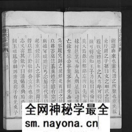 江西王氏族谱-太原王氏宗谱[不分卷].pdf电子版预览图2