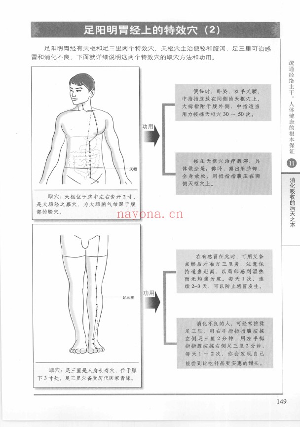 图解经络的秘密 流传千年的中国式特效保健法pdf