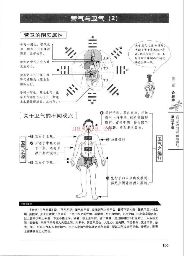 图解黄帝八十一难经pdf