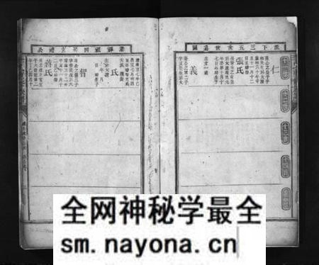 湖南李氏族谱-李氏重修族谱 [残卷].pdf电子版预览图4