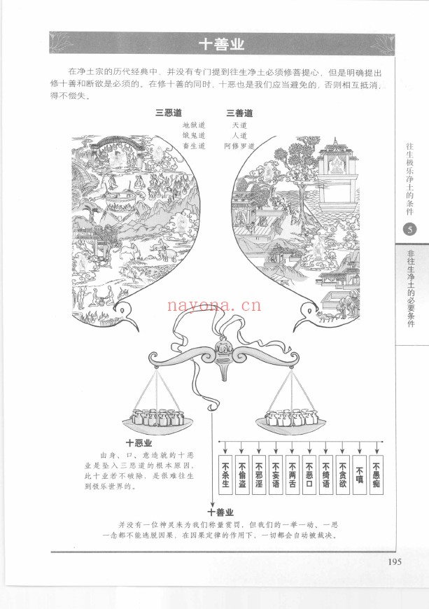 图解阿弥陀经pdf