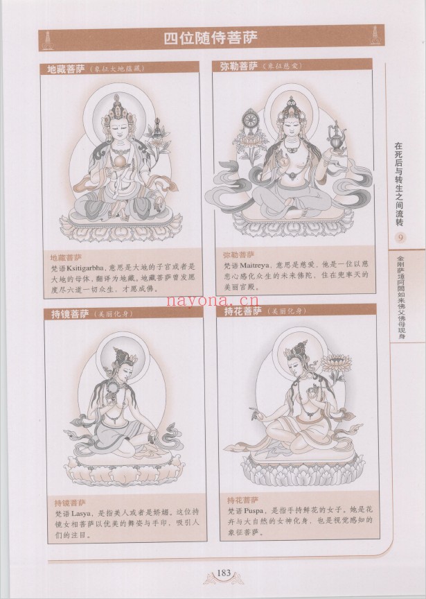 图解佛教生死书 破解生命轮回的真相pdf