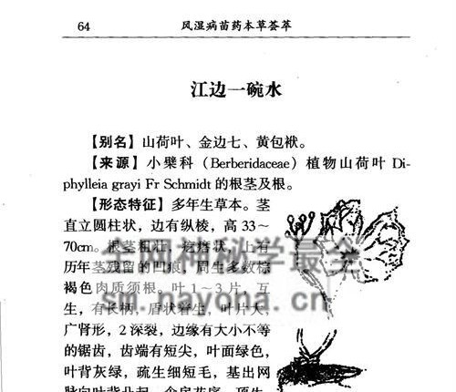 K2226风湿病苗药本草荟萃284页 电子版