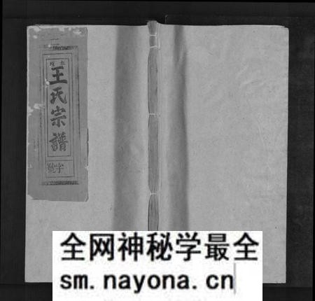 江西王氏族谱-太原王氏宗谱[不分卷].pdf电子版预览图