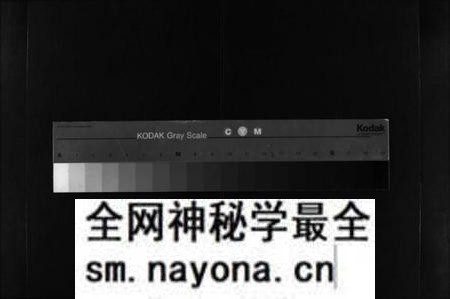 湖南沈氏族谱-沈氏宗谱 [43卷,首1卷].pdf电子版预览图