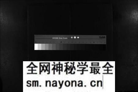 江西罗氏族谱-秀川罗氏四修族谱 [卷数不详].pdf电子版预览图