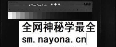 湖南李氏族谱-花门楼李氏支谱[4卷].pdf电子版预览图