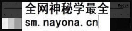 湖南邹氏族谱-湖南新化邹氏奇户谱 [残卷].pdf电子版预览图