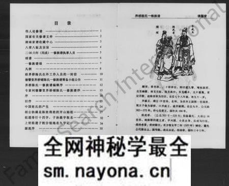 湖南陈氏族谱-界桥陈氏族谱.pdf电子版预览图3