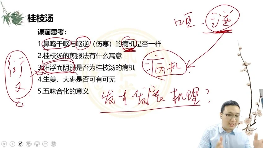 《草木医学医法篇-刘长斌经方之解》（视频15集）