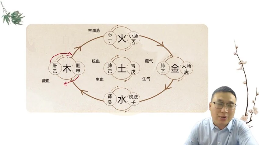 《草木医学医法篇-刘长斌经方之解》(视频15集)