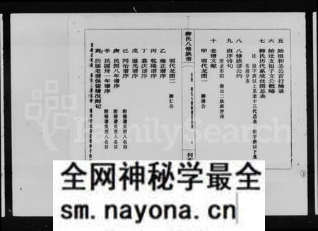 湖南柳氏族谱-湘中柳氏八修族谱 [卷首].pdf电子版预览图4