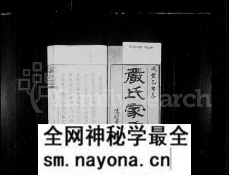 湖南严氏族谱-浏东严氏族谱.pdf电子版预览图2