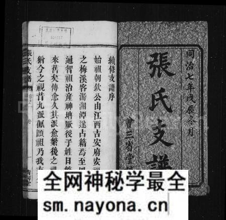 湖南张氏族谱-张氏支谱 [残卷].pdf电子版预览图3