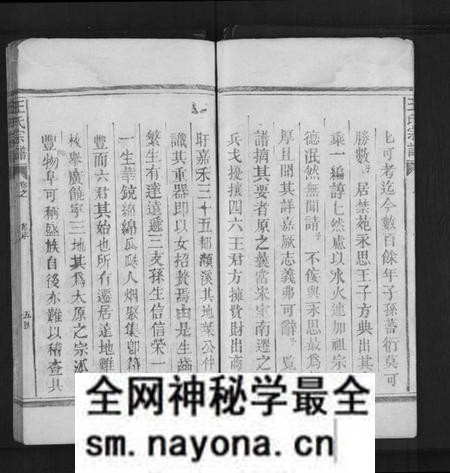 江西王氏族谱-太原王氏宗谱[不分卷].pdf电子版预览图5