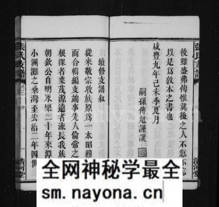 湖南张氏族谱-张氏支谱 [残卷].pdf电子版预览图5