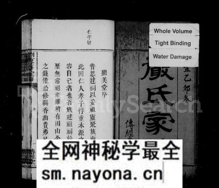 湖南严氏族谱-浏东严氏族谱.pdf电子版预览图3