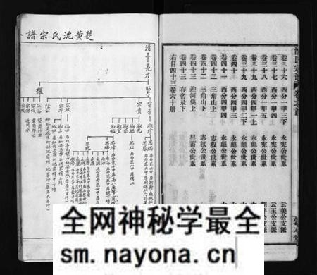 湖南沈氏族谱-沈氏宗谱 [43卷,首1卷].pdf电子版预览图5