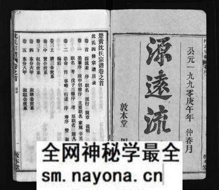 湖南沈氏族谱-沈氏宗谱 [43卷,首1卷].pdf电子版预览图2