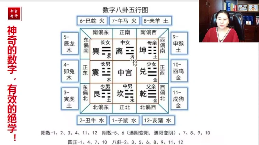 《生肖神数入门到精通》（视频35集）