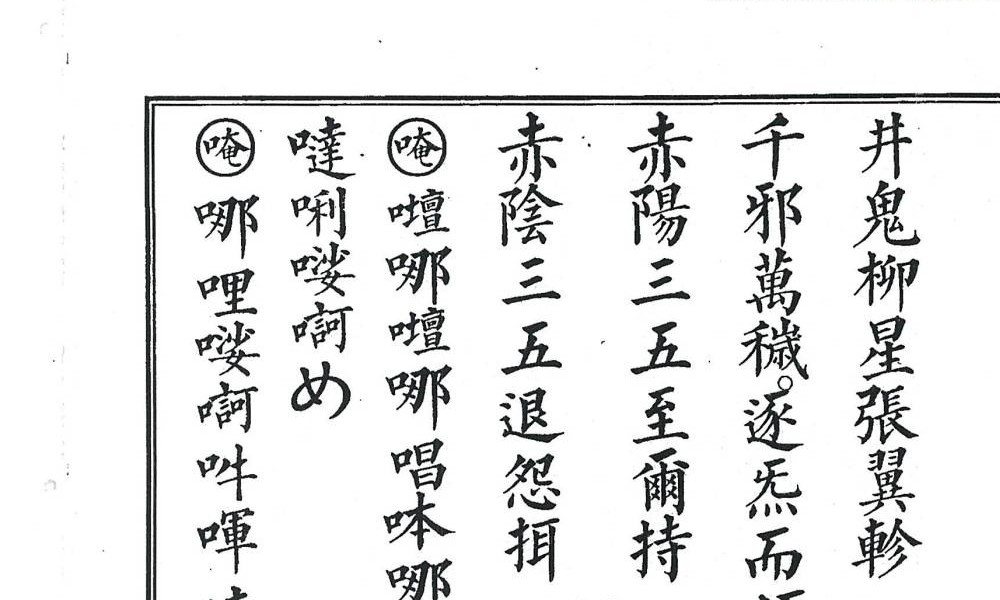 《正一大表金科》42页双页