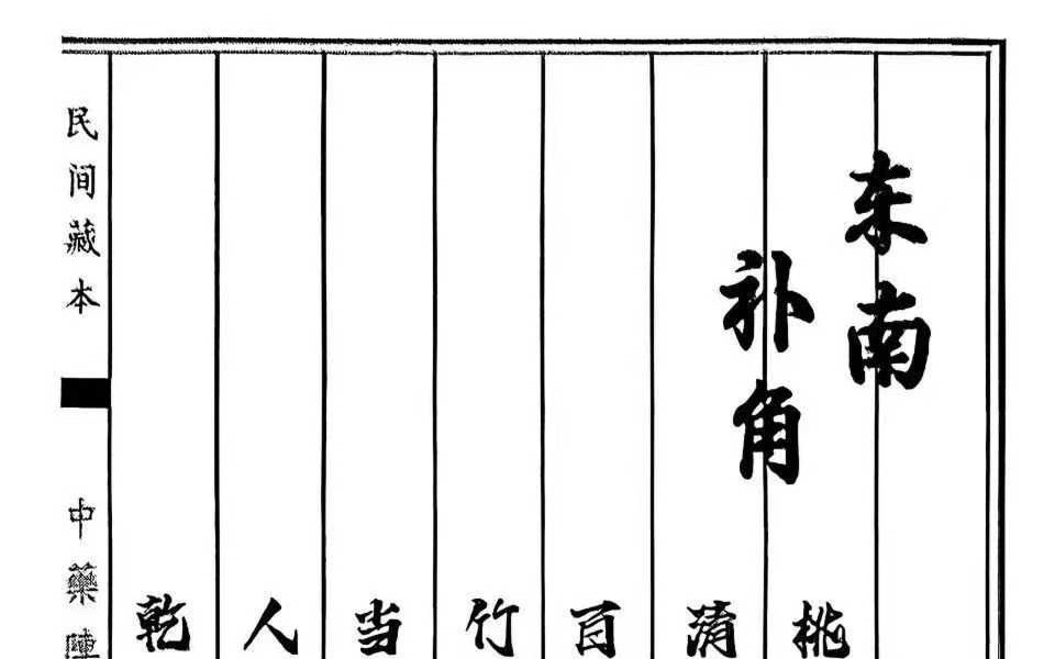 《中药阵法》98页