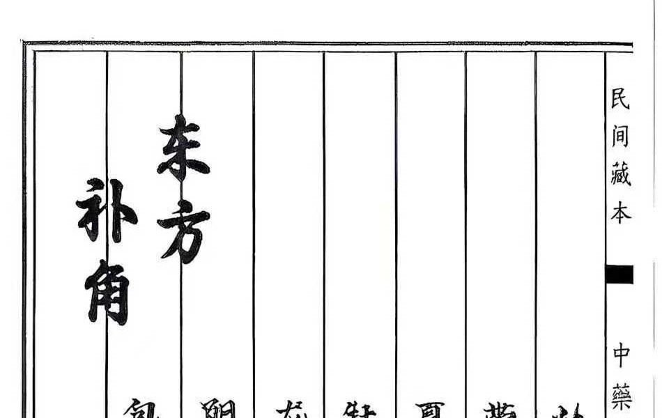 《中药阵法》98页