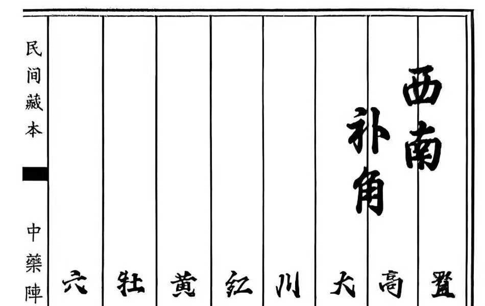 《中药阵法》98页
