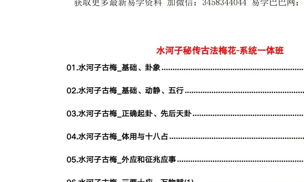 《水河子秘传古法梅花-系统一体班》317页