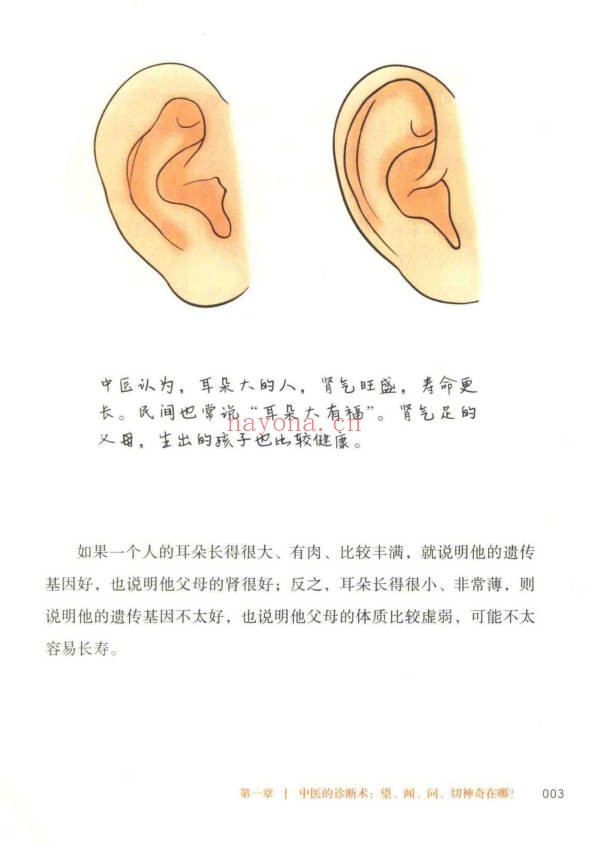 王栋常虹皇帝内经望诊奇术220页PDF 中医望诊
