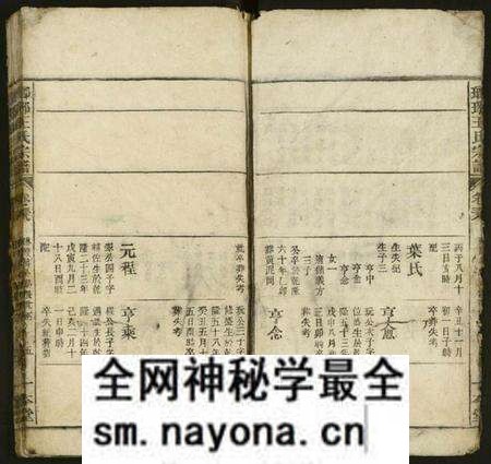 江西王氏族谱-琅琊王氏宗谱 [存经支卷].pdf电子版预览图3