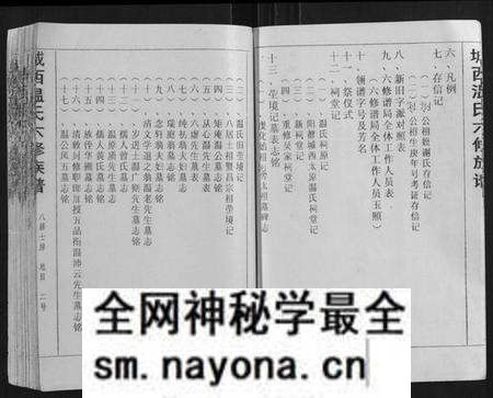 江西温氏族谱-城西温氏六修族谱[不分卷].pdf电子版预览图5