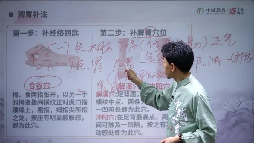 《丛磊地子午流注何若愚归元术线上课》视频40集
