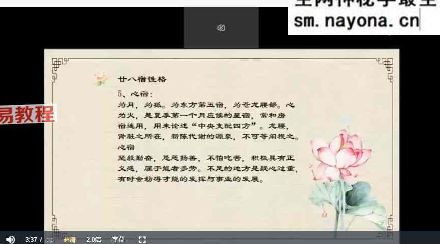 星牌师训练营 视频11集