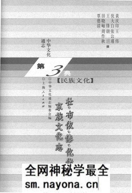 《中华文化通志 第3典 民族文化 壮、布依、泰、仡佬、京族文化志》.pdf电子版_其他志预览图1