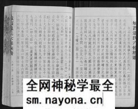 江西温氏族谱-城西温氏六修族谱[不分卷].pdf电子版预览图2