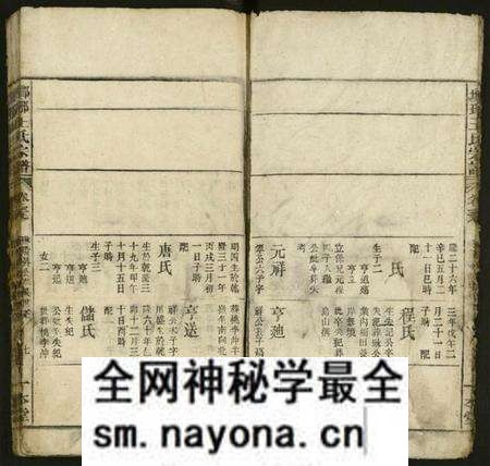 江西王氏族谱-琅琊王氏宗谱 [存经支卷].pdf电子版预览图5