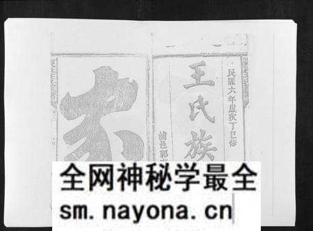 江西王氏族谱-复社王氏族谱.pdf电子版预览图2
