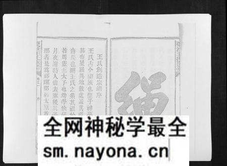 江西王氏族谱-复社王氏族谱.pdf电子版预览图5