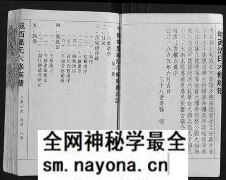 江西温氏族谱-城西温氏六修族谱[不分卷].pdf电子版预览图4