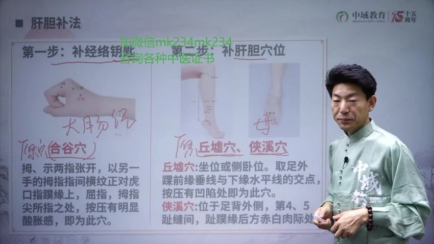 《丛磊地子午流注何若愚归元术线上课》视频40集