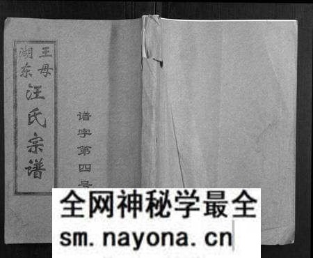 湖北汪氏族谱-王母湖东汪氏宗谱[16卷首1卷].pdf电子版预览图