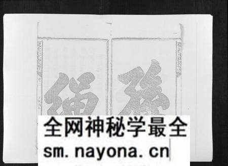 江西王氏族谱-复社王氏族谱.pdf电子版预览图4