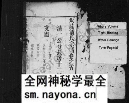 江苏潘氏族谱-坂陆潘氏宗谱 [残卷].pdf电子版预览图1