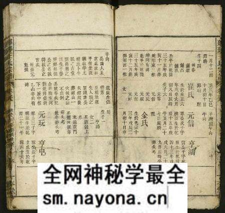 江西王氏族谱-琅琊王氏宗谱 [存经支卷].pdf电子版预览图2