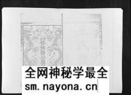 江西王氏族谱-复社王氏族谱.pdf电子版预览图1