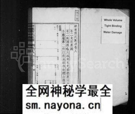 江西齐氏族谱-翀麓齐氏族谱 [卷数不详].pdf电子版预览图2