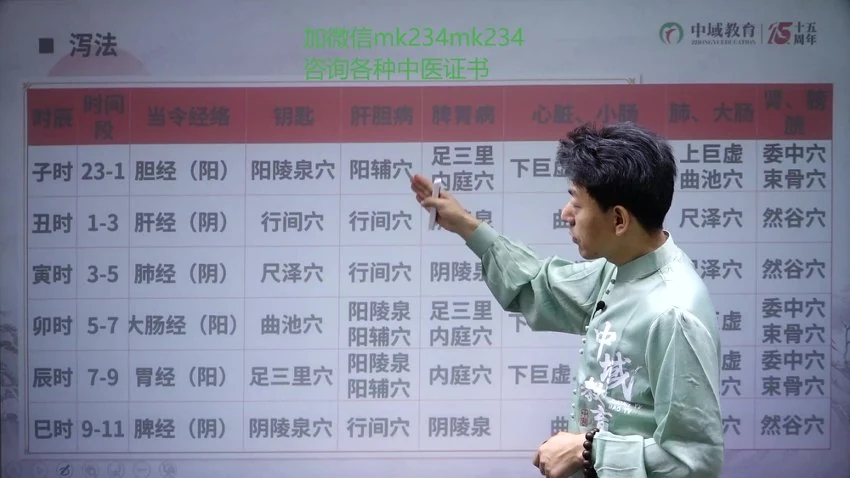 《丛磊地子午流注何若愚归元术线上课》视频40集