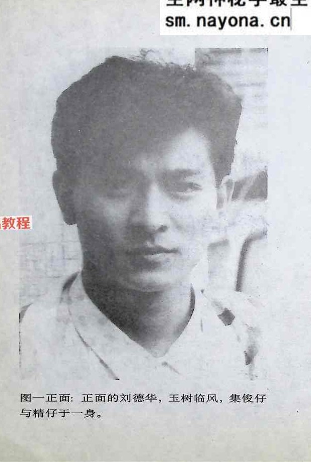 香港明星科学面相，男性篇.pdf 228页